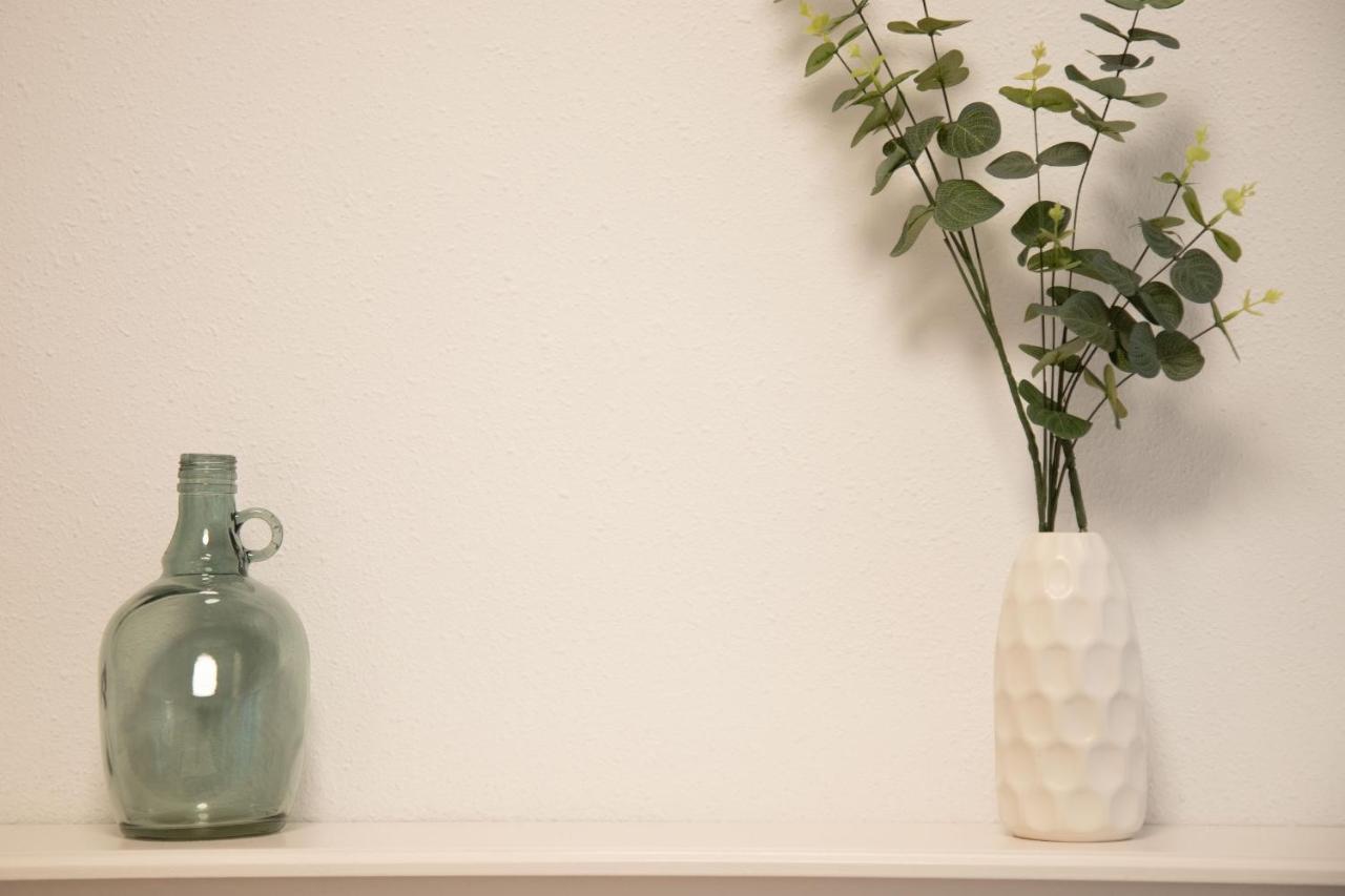 Cute And Comfy Apartment By Cisan Rentals サン・セバスティアン エクステリア 写真